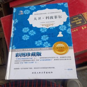 大卫·科波菲尔（书脊处少损不影响阅读）