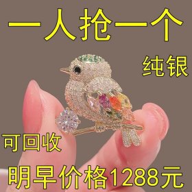 【大捡漏】香港正品S999千足银胸针高档女士胸针喜鹊胸花时尚配饰