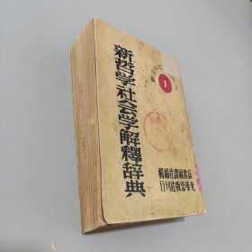 新哲学社会学解释词典