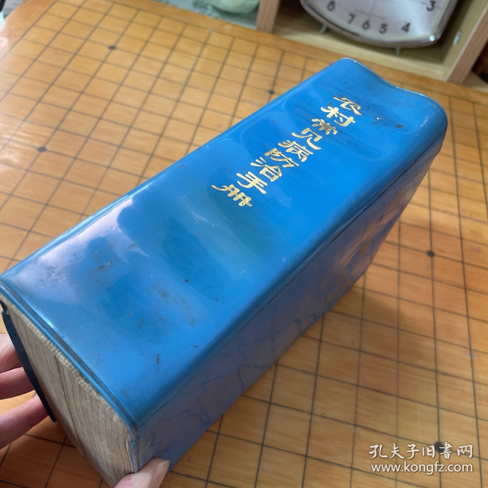 农村常见病防治手册