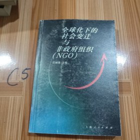 全球化下的社会变迁与非政府组织