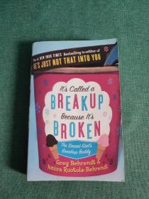 It's Called a Break-Up Because It's Broken: The Smart Girl's Breakup Buddy