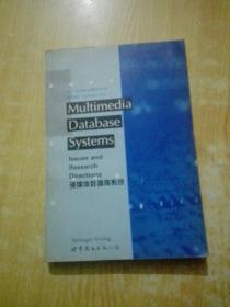 Multimedia database systems