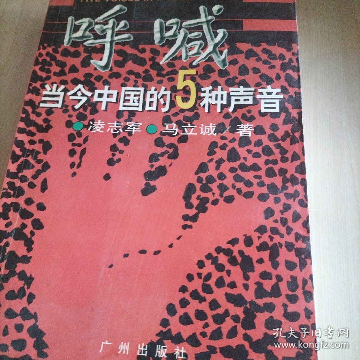 呼喊：当今中国的5种声音