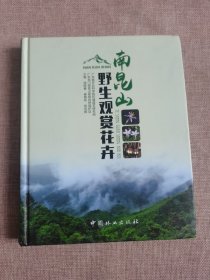 南昆山野生观赏花卉