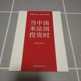 当中国来法国投资时