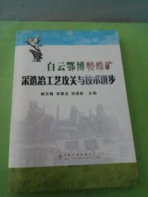 白云鄂博特殊礦采選冶工藝攻關(guān)與技術(shù)進(jìn)步。