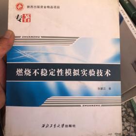 燃烧不稳定性模拟实验技术