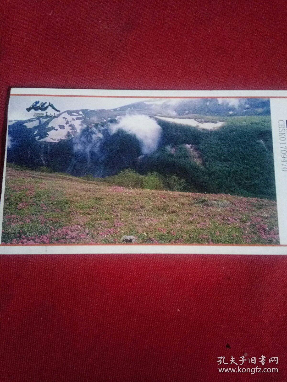 长白山门票