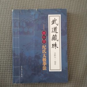 武道藏珠—善扑营 记氏太极拳法