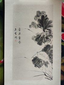 周午生，镜心裱，包手绘，手工裱，处理以前旧物，便宜处理不折腾，慎重下单。尺寸69/36