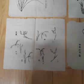 清 木刻版兰花画页 有临沈周、文征明、赵子昂等兰花图（其中1页竹子） 散页21页  裱成册页或当老信笺用都不错
说明：年份是根据2006年买入时卖家标明的而来，有疑义的请勿下单！下单即表示认可。