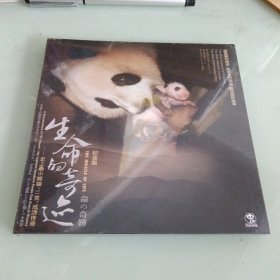 生命的奇迹 史上最小熊猫51克成活传奇 DVD
