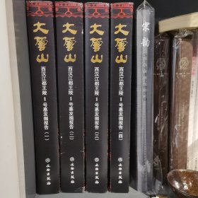 大云山——西汉江都王陵1号墓发掘报告