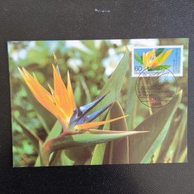 GERcard1德国邮票西德1983年邮票 国际园林展览 花卉 1全 外国极限片