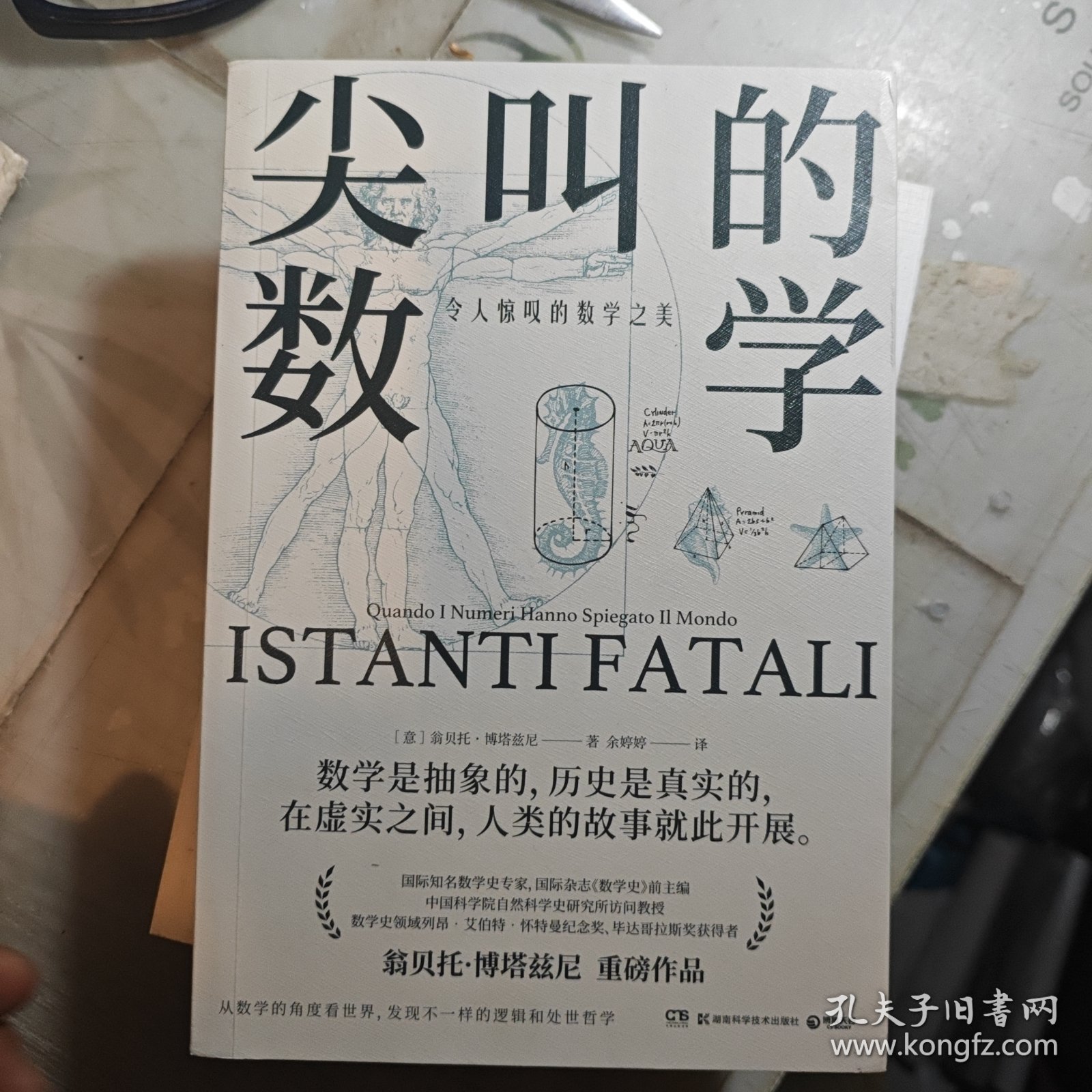 尖叫的数学-令人惊叹的数学之美（国际知名数学史专家，国际杂志《数学史》前主编翁贝托·博塔兹尼带你从数学的角度看世界）