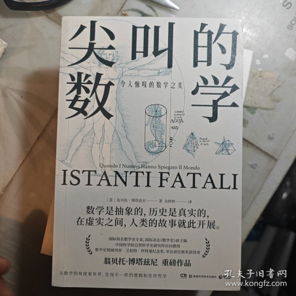 尖叫的数学-令人惊叹的数学之美（国际知名数学史专家，国际杂志《数学史》前主编翁贝托·博塔兹尼带你从数学的角度看世界）