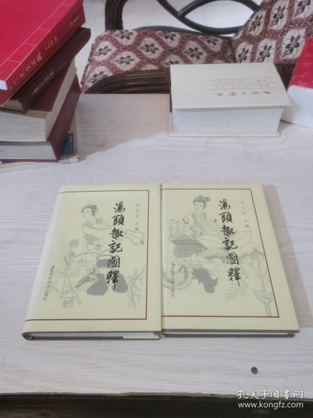 汤头趣记图释（上下）