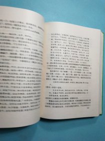 中国诗史（ 山东大学文史书系）精装本