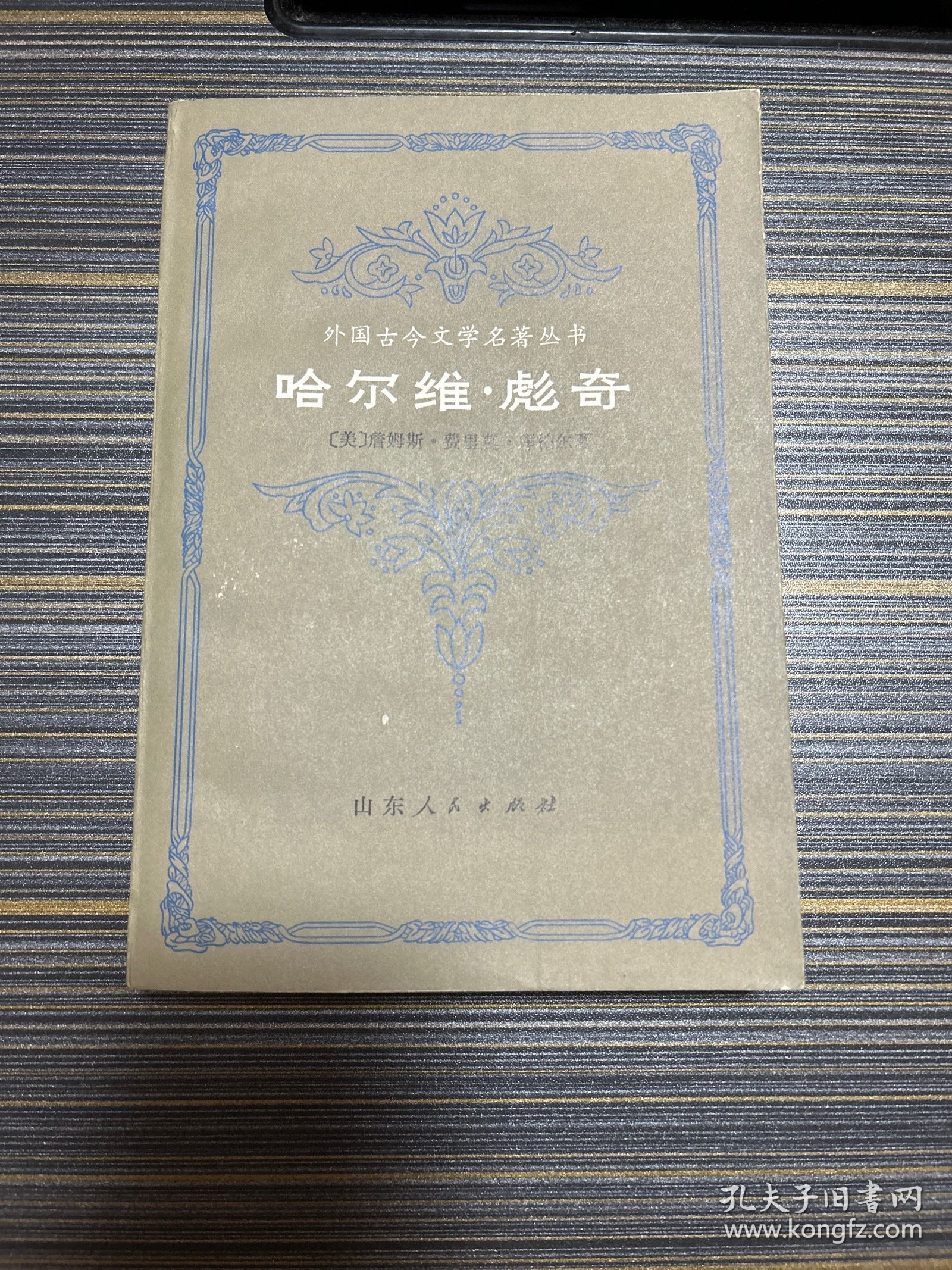 哈尔维 彪奇