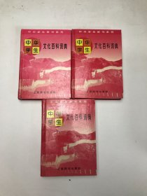 中华学生文化百科词典