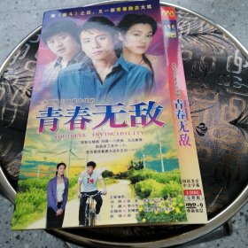 电视剧 青春无敌 DVD光盘2张
