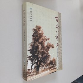 古今八宝山