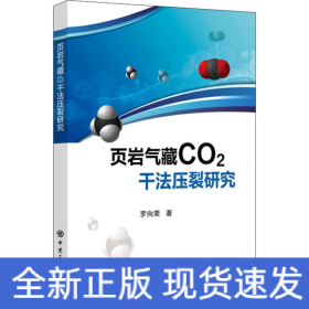 頁巖氣藏CO2干法壓裂研究