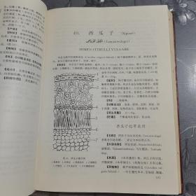 维吾尔药材标准（上册）