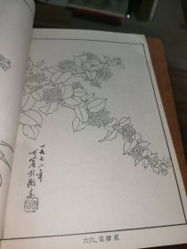 白描花卉写生集（上下集）