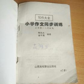 写作大全小学作文同步训练
