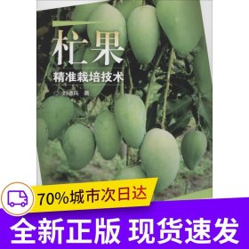 杧果精準(zhǔn)栽培技術(shù)