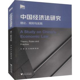 中国经济法研究：理论、规则与实践