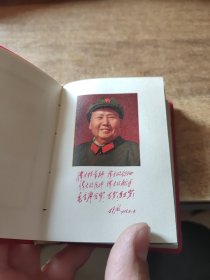 副主席语录