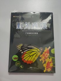 野外观蝶 广州蝴蝶生态图鉴