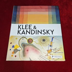 KLEE KANDINSKY 科利 康定斯基 35 x 27 x 3 cm （大型精装本 ） 原版现货