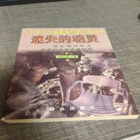 迷失的魂灵--湖北荆沙特大抢劫团伙案侦破纪实