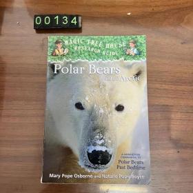 英文 polar bears