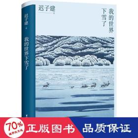 我的世界下雪了（迟子建散文系列）