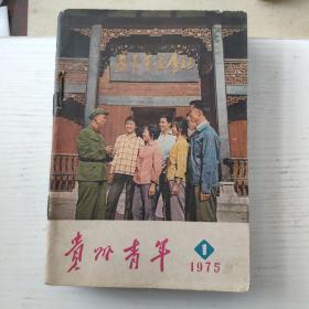 贵州青年1975（1-12期含专刊共11本合售，缺7、11两本）
