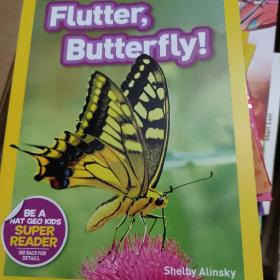 Flutter, Butterfly!