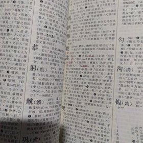古汉语常用字字典（第4版）二手