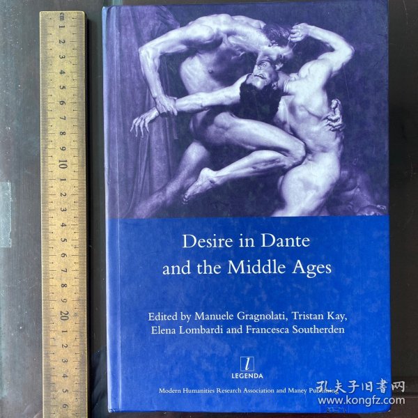Desire in Dante and the Middle Ages a History biography 英文原版精装