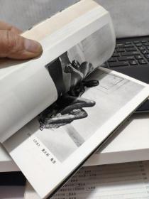 雕林漫步(附图片161幅,详细参照书影)客厅6-7