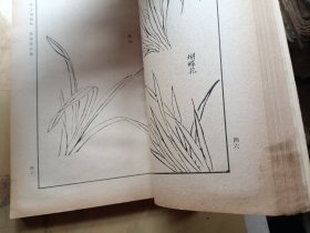 芥子园画传 第二集、第三集