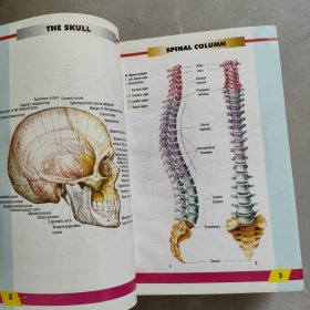 MEDICAL DICTIONARY医学词典