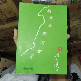 额尔吉纳河右岸