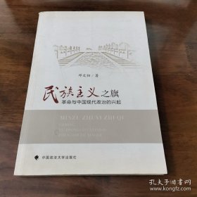 民族主义之旗 : 革命与中国现代政治的兴起