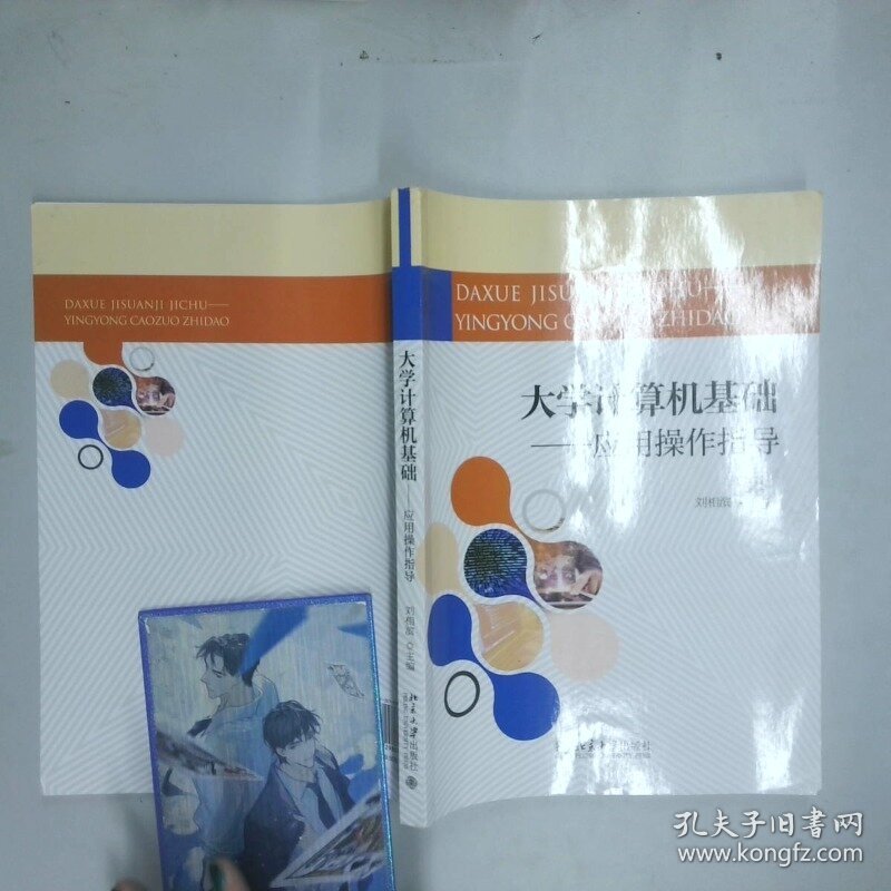 大学计算机基础 应用操作指导  刘相滨主编 北京大学出版社