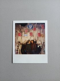 照片——哈尔滨冰雪节(背面是底片)